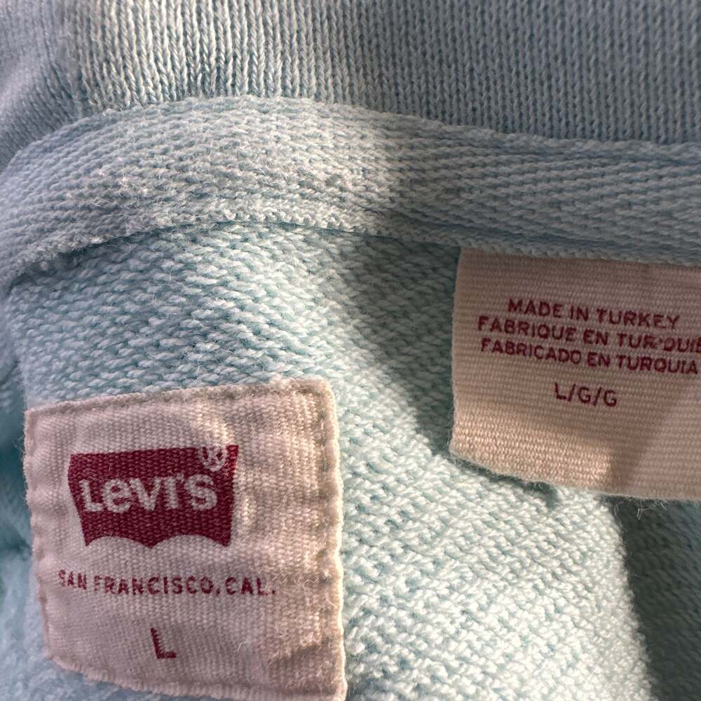 Levi's Men's Relaxed Fit Graphic Hoodie Sweatshirt in Mint Green - Picture 6 of 9